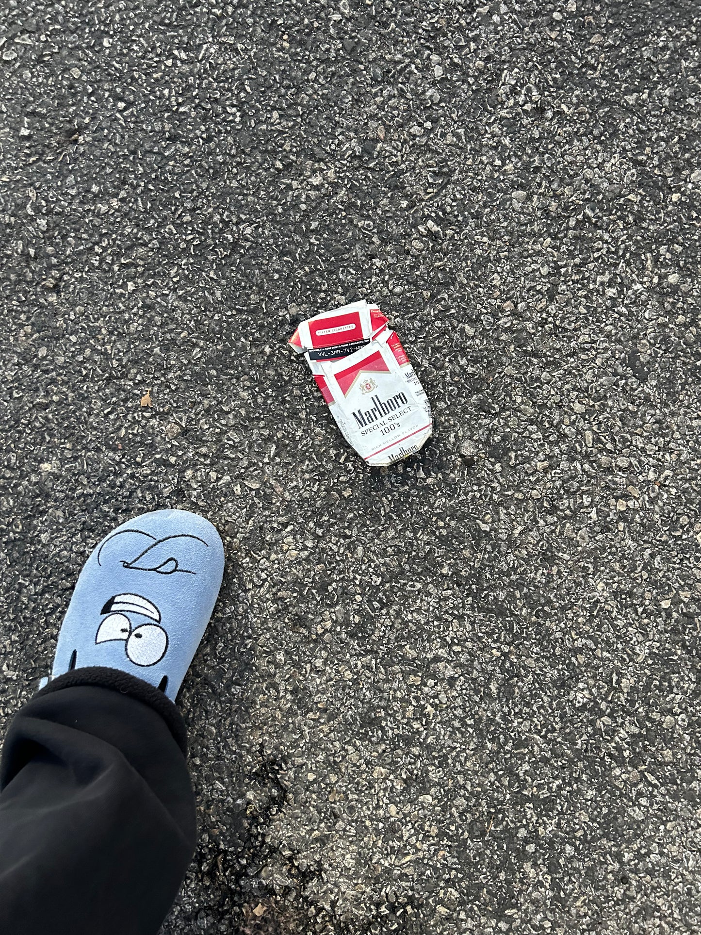 BLOO CLOGS