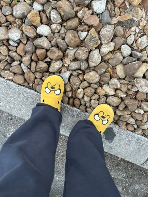 JAKE THE DOG CLOGS